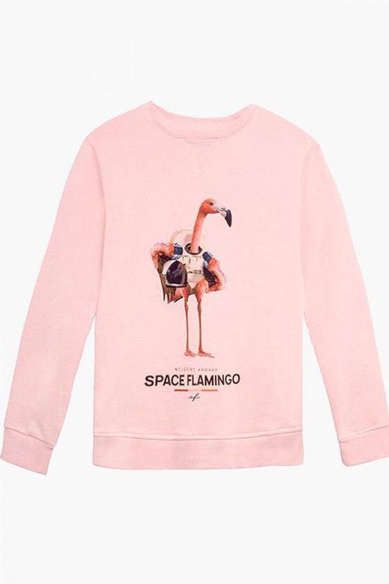 Space Flamingo sudadera...