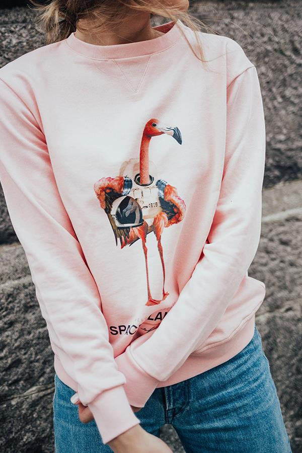 SPACE FLAMINGO - Space Flamingo sudadera SFE001-003